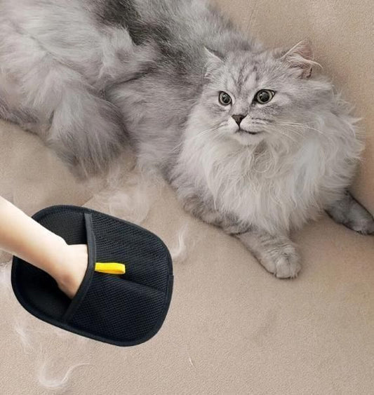 🐾 Pet Hair Removal Gloves – Double-Sided